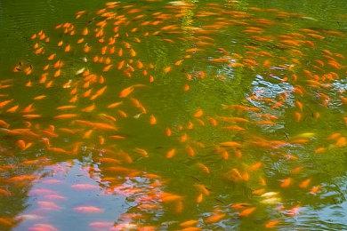 硬核推理游戏《机密谋杀案中案》参加Steam新品节 试玩版上线